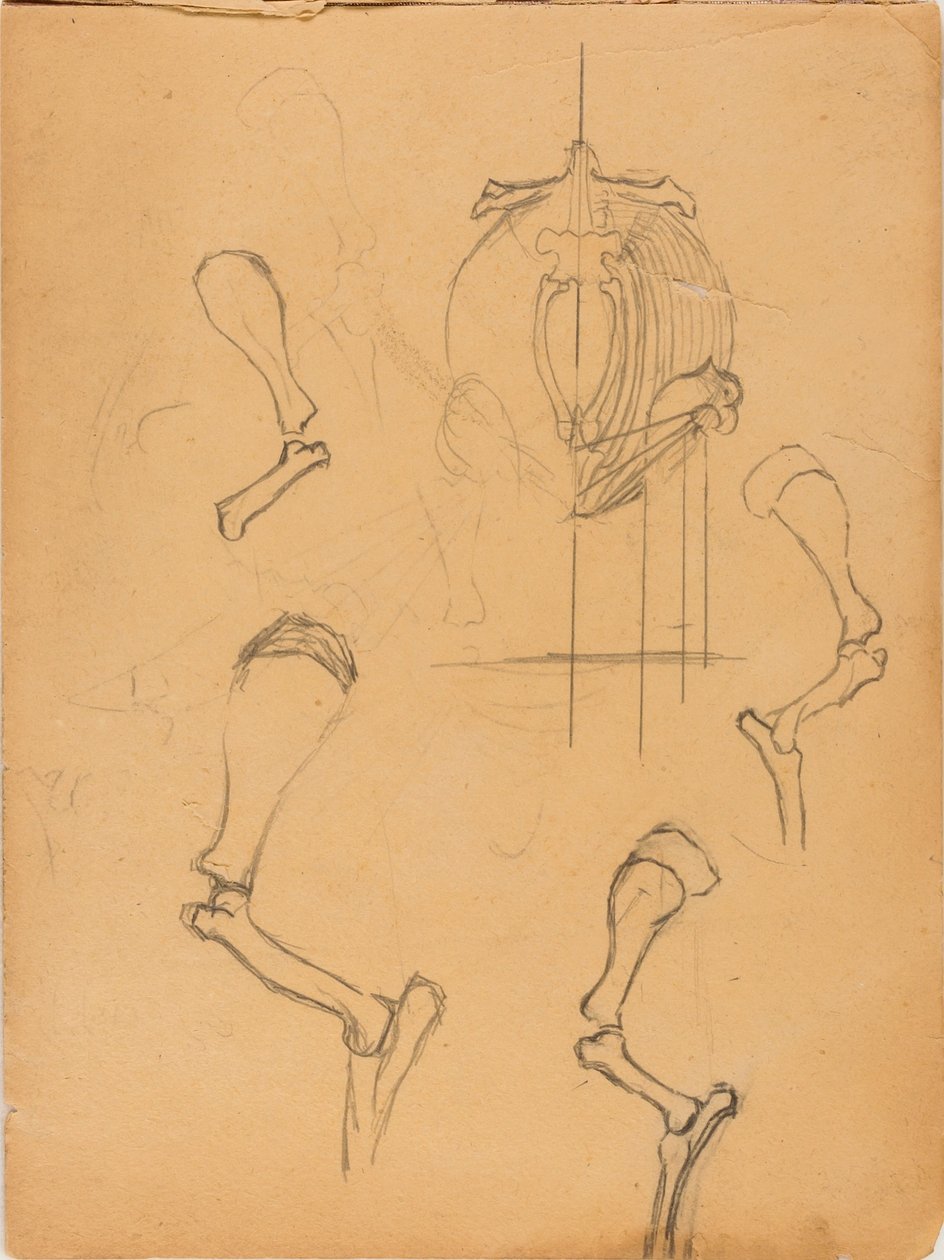 Sketch Book alkotó: Solon H. Borglum