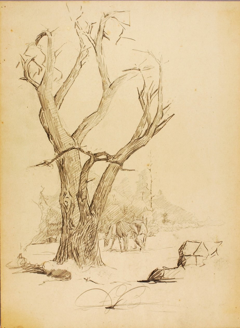 Cím nélkül alkotó: Solon H. Borglum