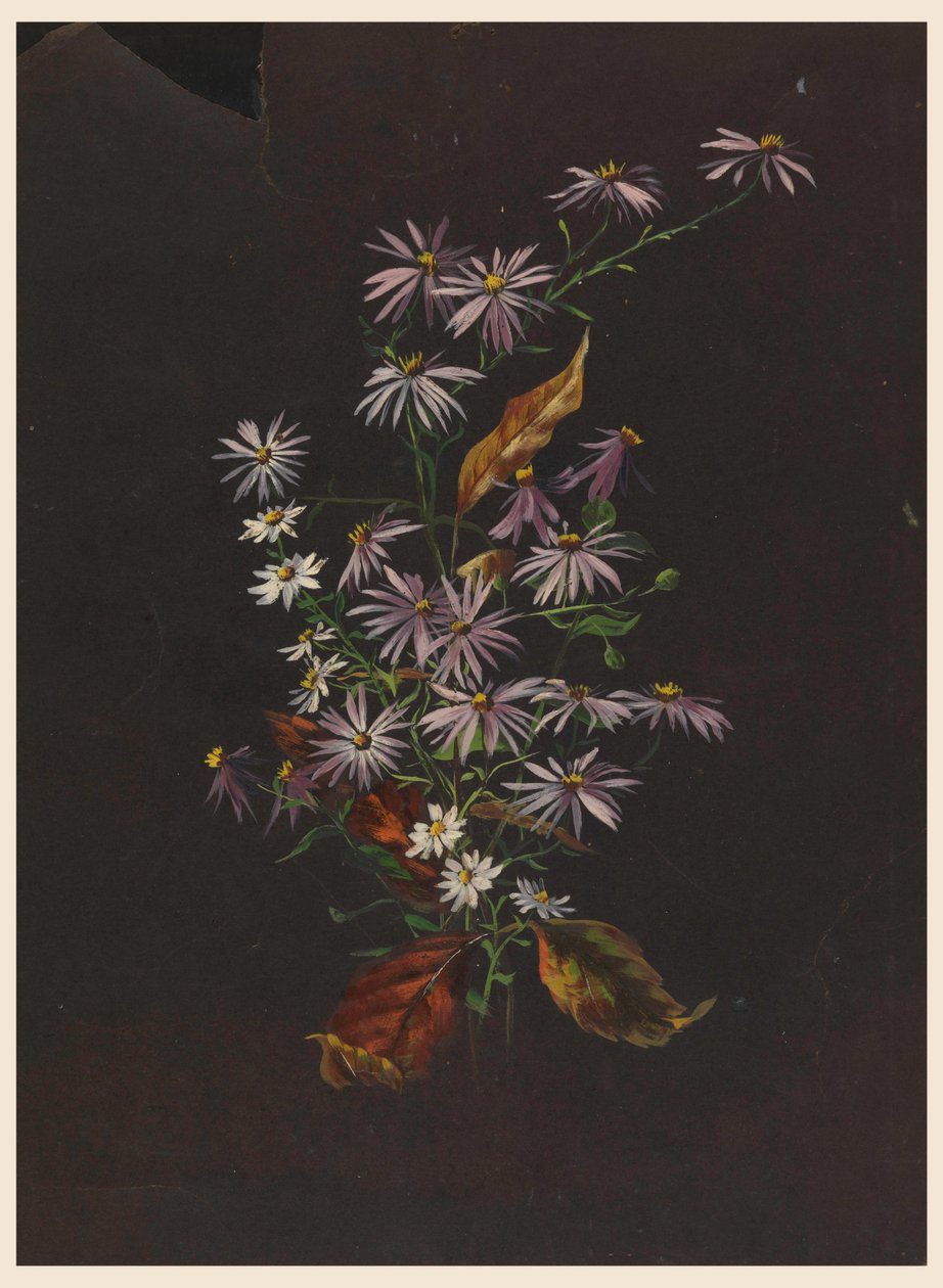 Őszi csokor, kb. 1890 alkotó: Sophia L. Crownfield