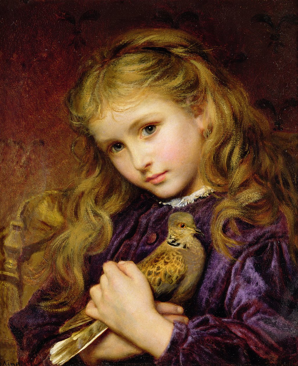 Turtle Dove (olaj, vászon a fedélzeten) alkotó: Sophie Gengembre Anderson