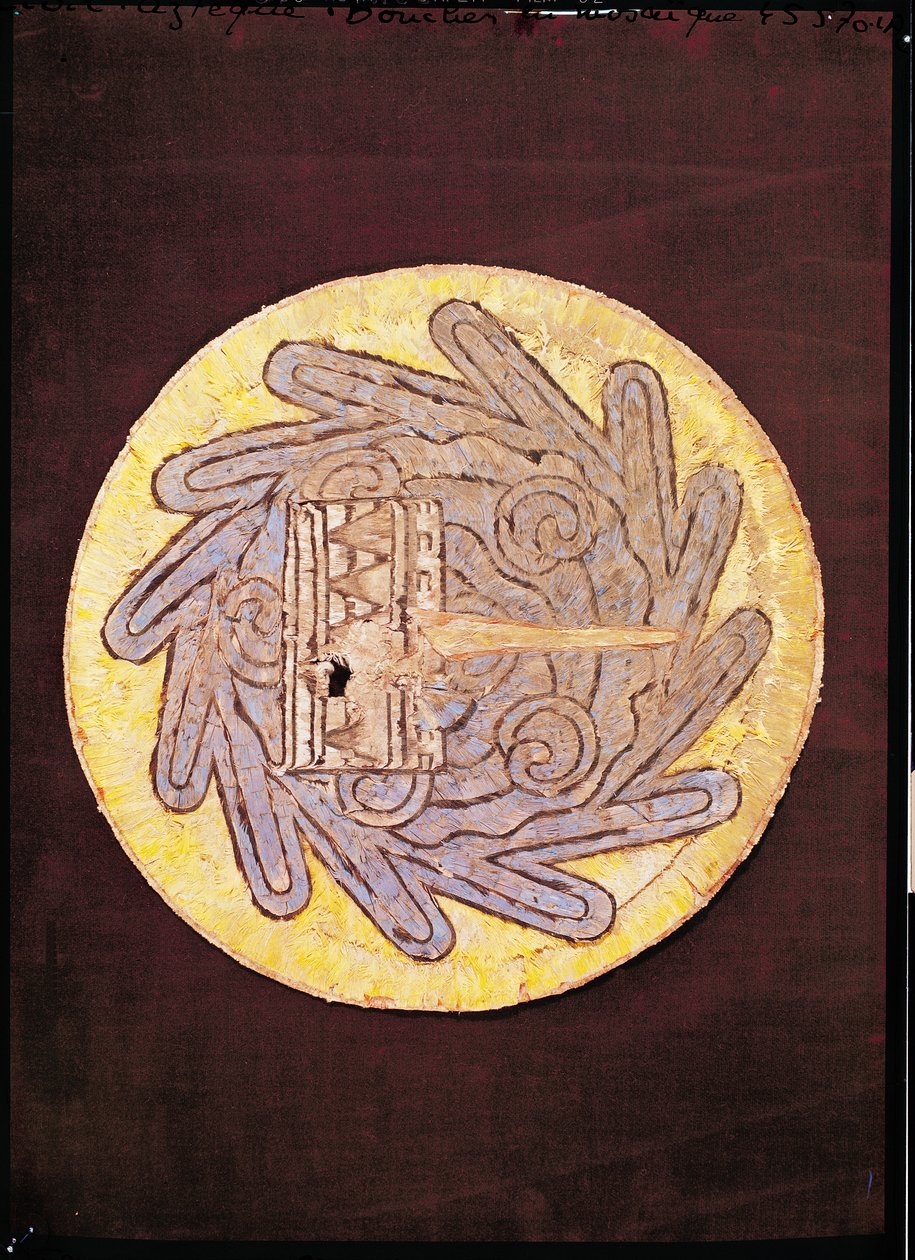 Kehelytakaró, 1540 körül (toll és kéreg) alkotó: Spanish Colonial