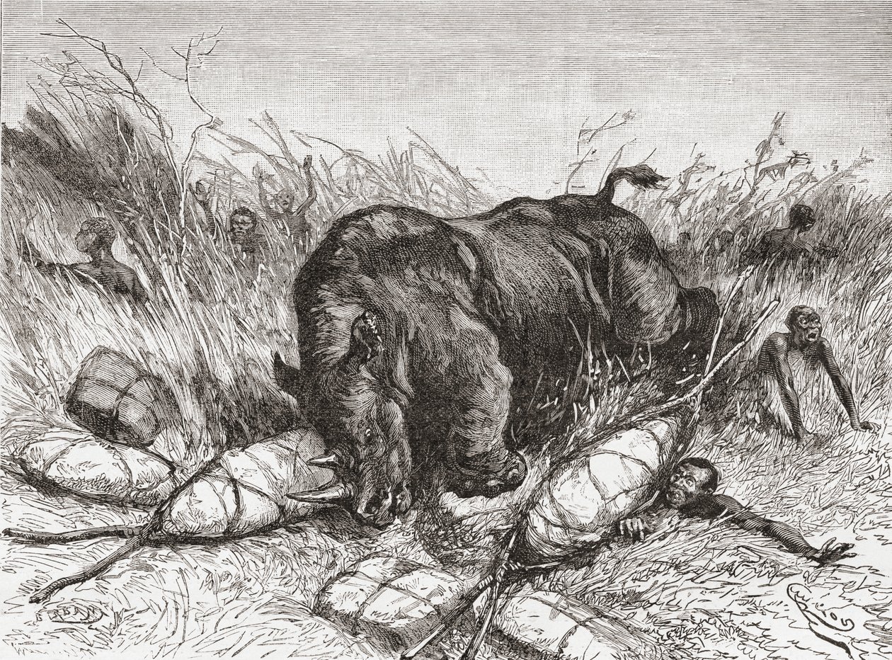 Egy orrszarvú megtámad egy expedíciót „Afrika Pintorescából”, 1888-ban alkotó: Spanish School