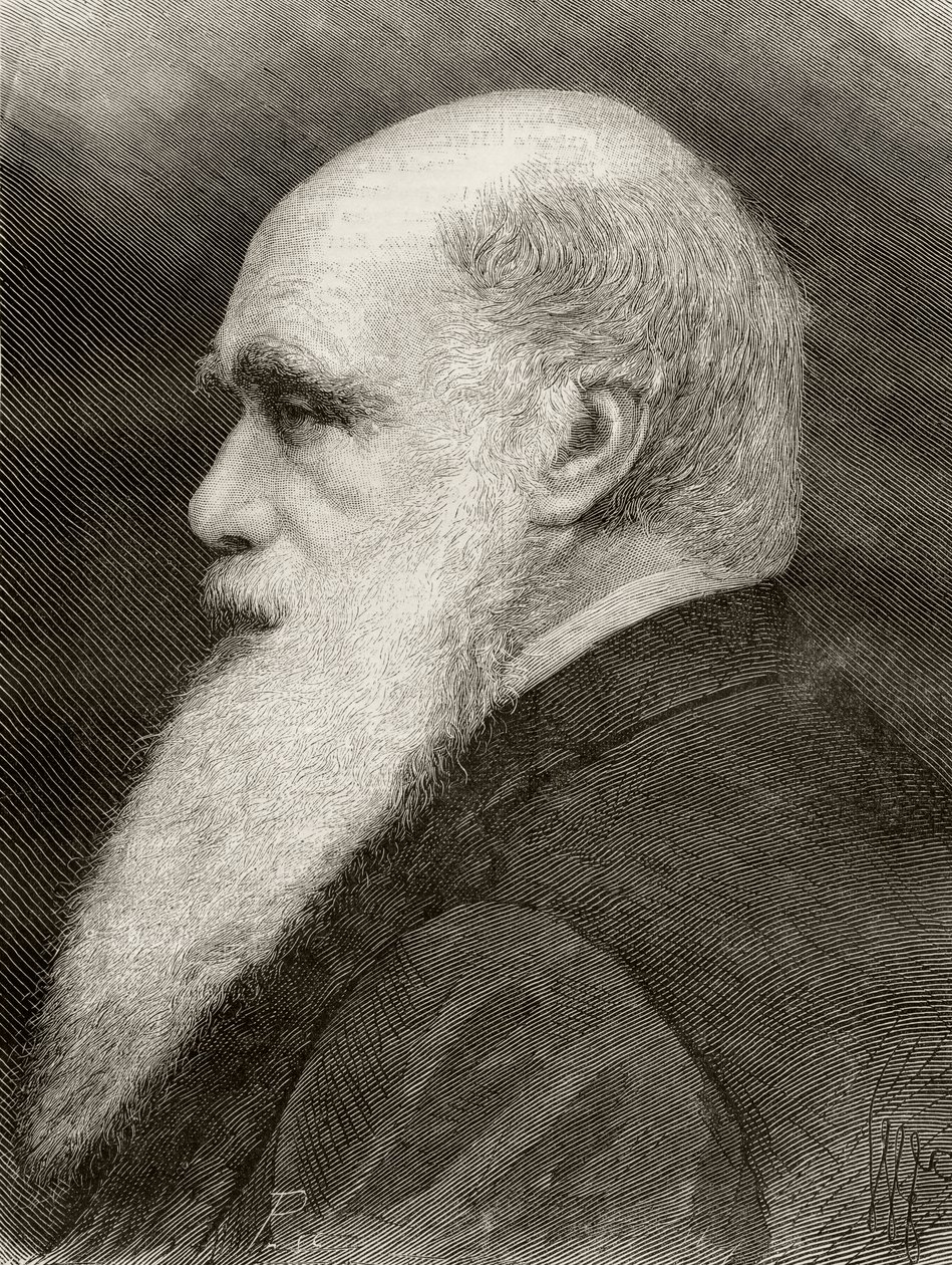 Charles Darwin, a „Nuestro Siglo”-ból, a Barcelona, 1883-ban jelent meg alkotó: Spanish School