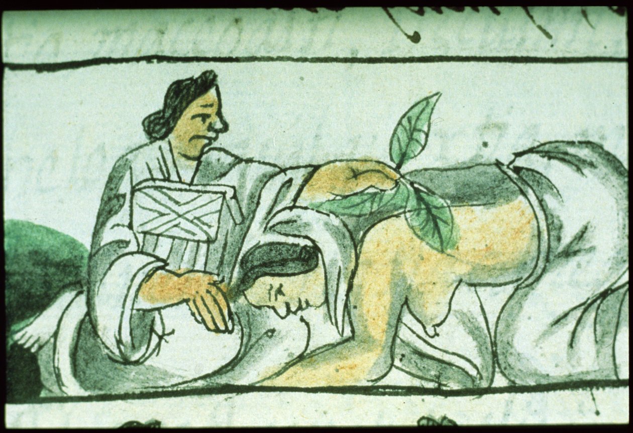 Palat asszony. 218-220 IX. könyv Azték bábaasszony gyógynövényeket ad be egy nőnek szülés után, Bernardino de Sahagun "Firenzei kódexéből", 1540-85 körül. alkotó: Spanish School