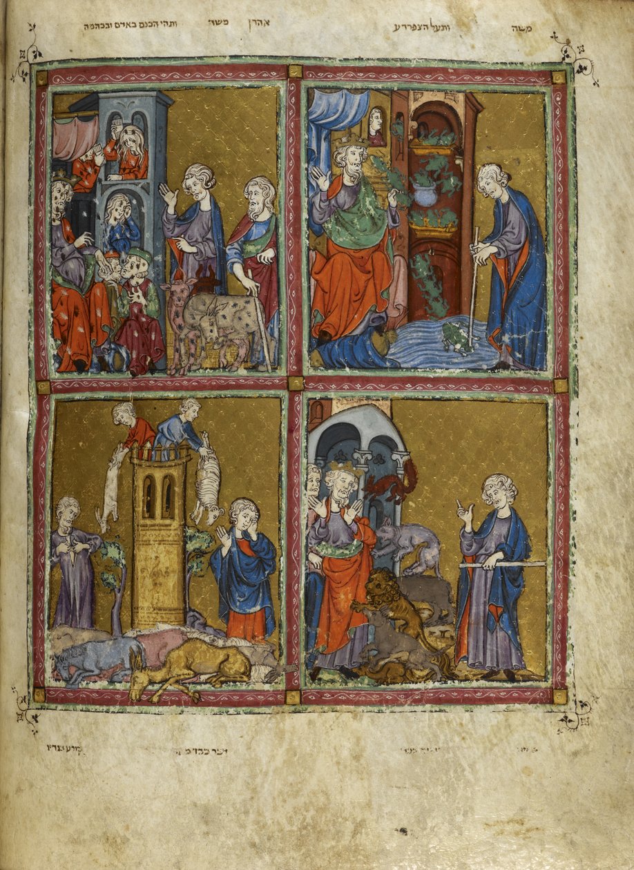 Hozzáadás. 27210, f.12v Jelenetek az Exodusból: A tetvek, a békák, a dögvész és a pestis, illusztrációk az „Arany Haggadából” (tinta, szín és arany pergamen) alkotó: Spanish School