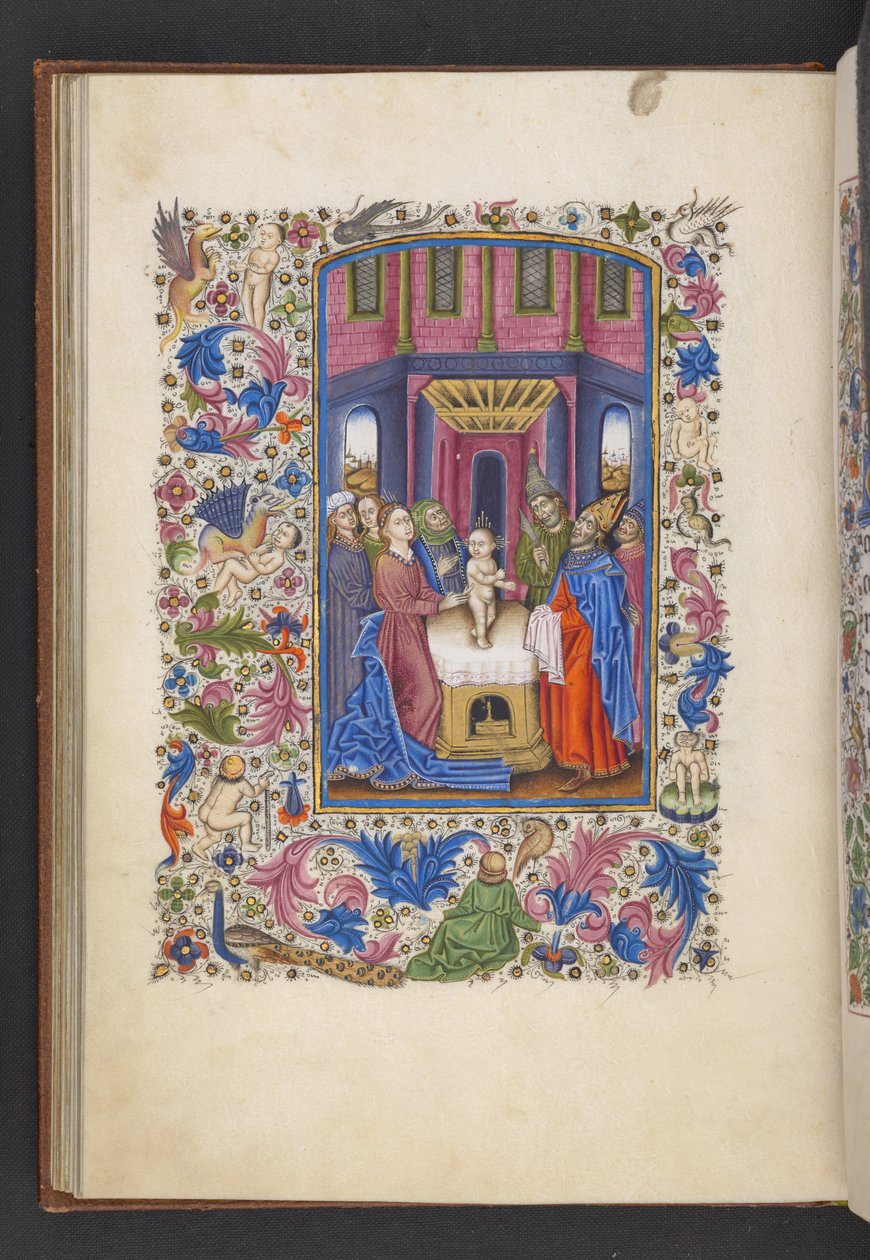 Adja hozzá az MS 50004 f.41v The Circumcision-t az „Órakönyvből” (tinta, szín és arany pergamen) alkotó: Spanish School