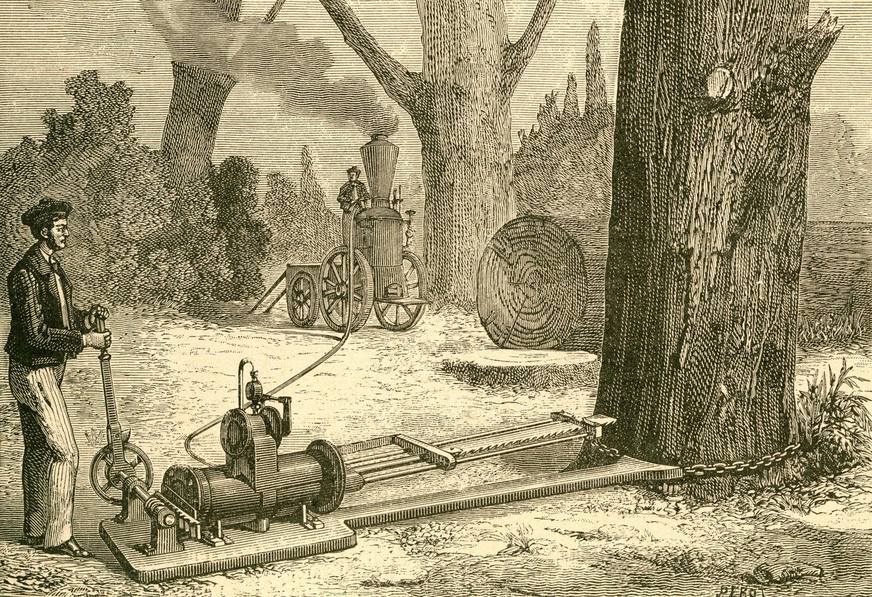Fák kivágása gőzgépekkel a 19. század végén. Az El Museo Popular által kiadott Madrid alkotó: Spanish School