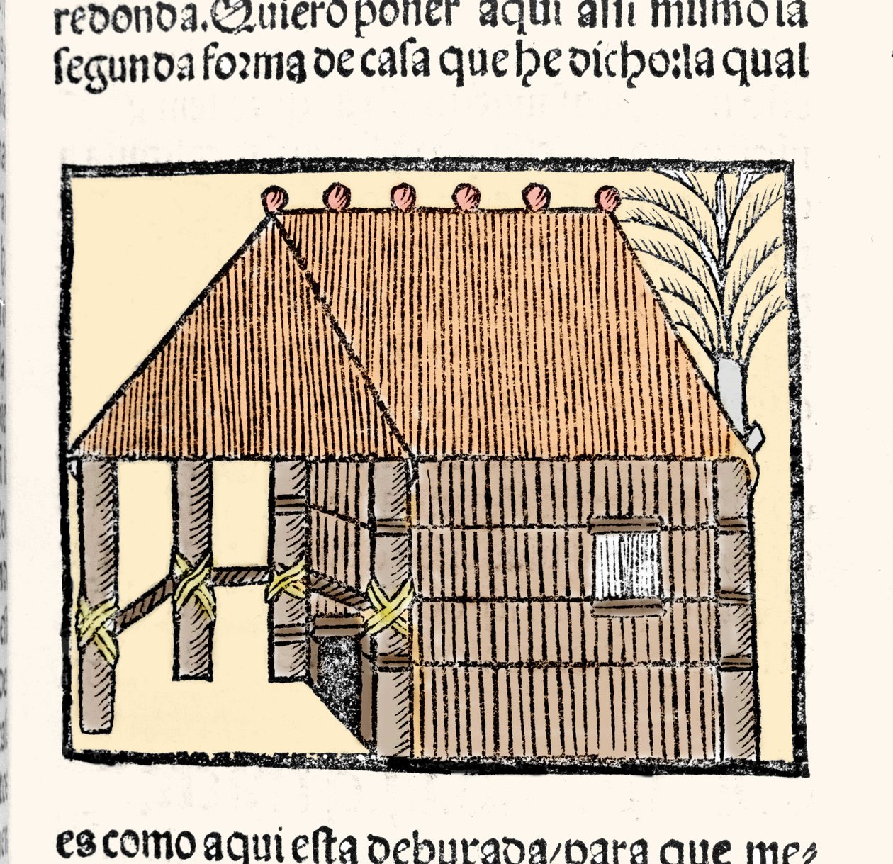 Élőhely: a kunyhói indiánok leírása. Metszet Gonzalo Fernandez de Oviedo vagy Hernandez de Oviedo y Valdes (1478-1557) „India általános története, az óceáni tenger szigetei és szárazföldi része” című könyvéből alkotó: Spanish School