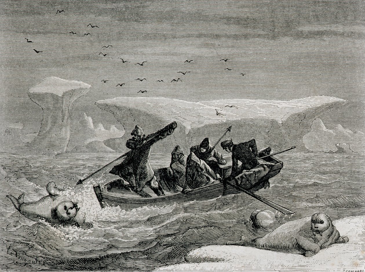 Vadászat rozmárra szigonnyal a Spitzbergákon, Svalbard szigetvilág, illusztráció a „Visszatérés a világba” című filmből, 1865 alkotó: Spanish School