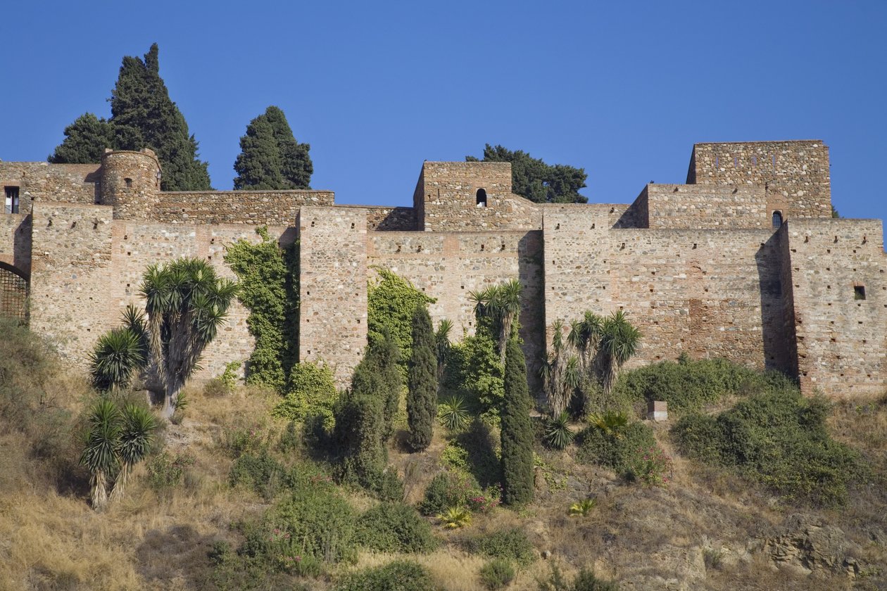 Az Alcazaba falai alkotó: Spanish School