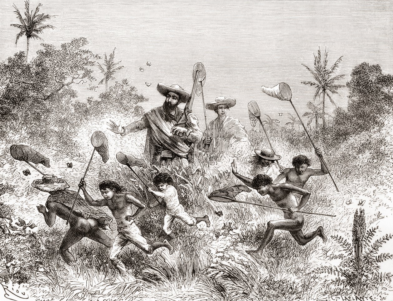 Édouard François André pillangókat fogott a venezuelai Villavicencióban botanikai expedíciója során az Andok lábánál 1875-76-ban alkotó: Spanish School