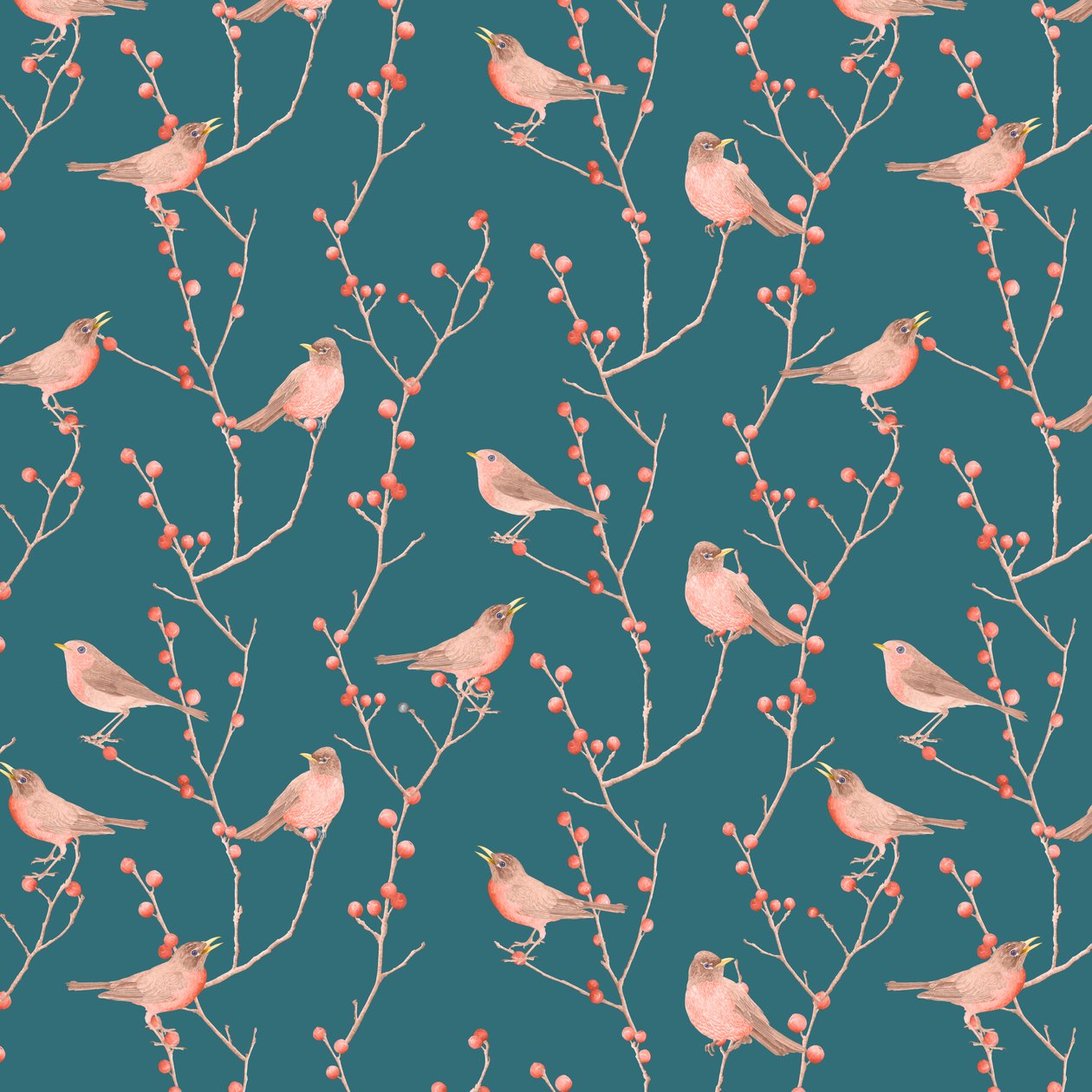 Robin és winterberry minta, 2021 (grafitceruza és digitális) alkotó: Stacy Hsu