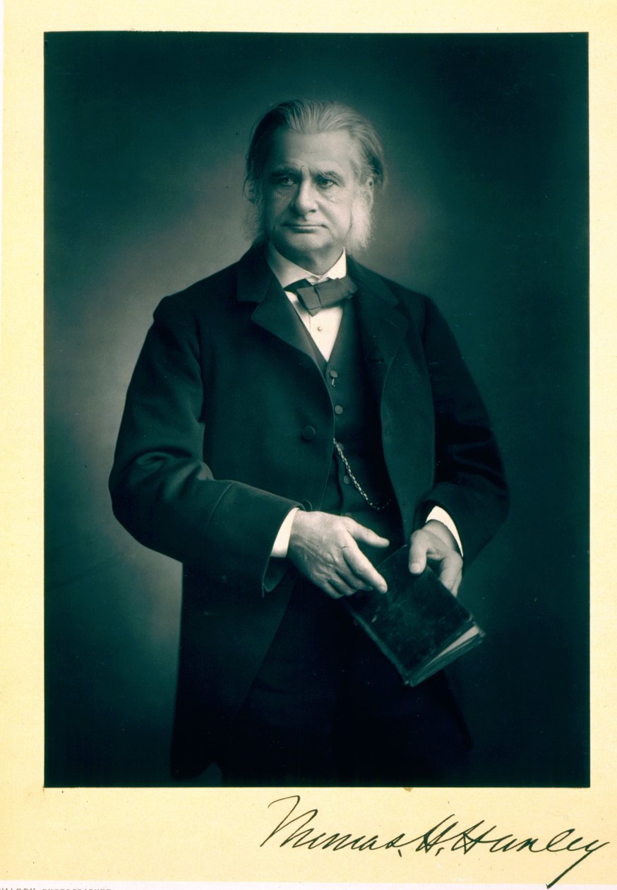 Thomas H. Huxley professzor (1825-95), biológus, portréfotó alkotó: Stanislaus Walery