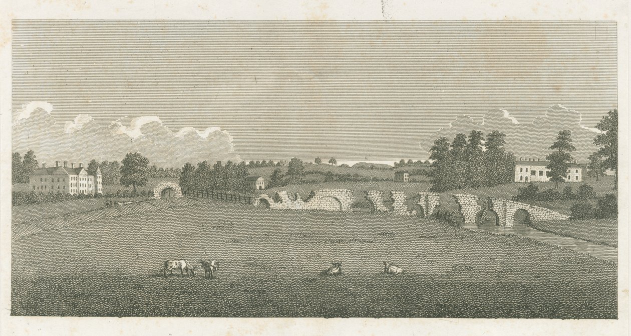Wolseley-híd: metszet alkotó: Stebbing Shaw