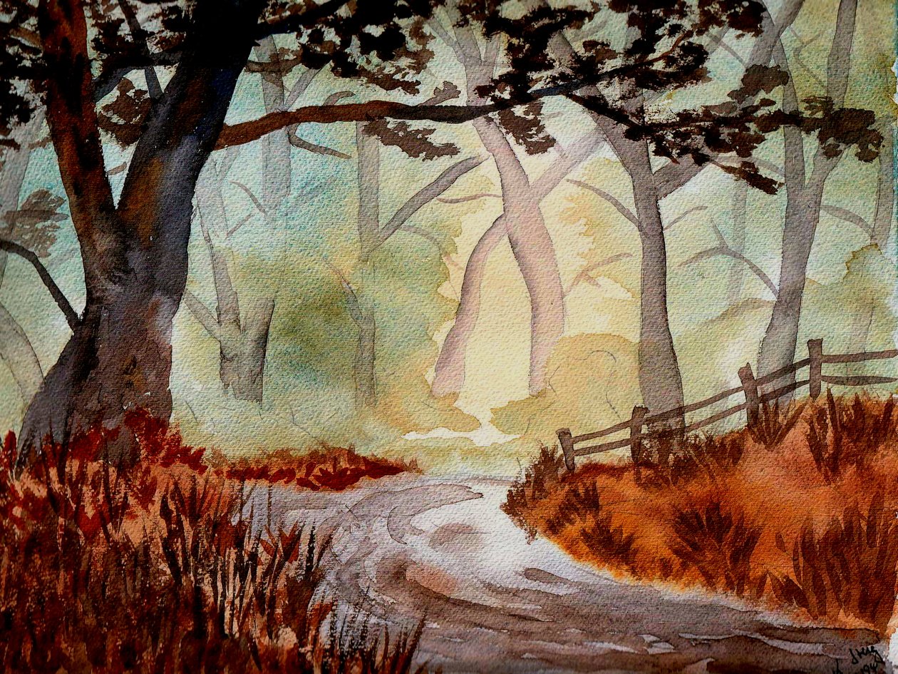 Az elvarázsolt erdő alkotó: Steegs Art Karin