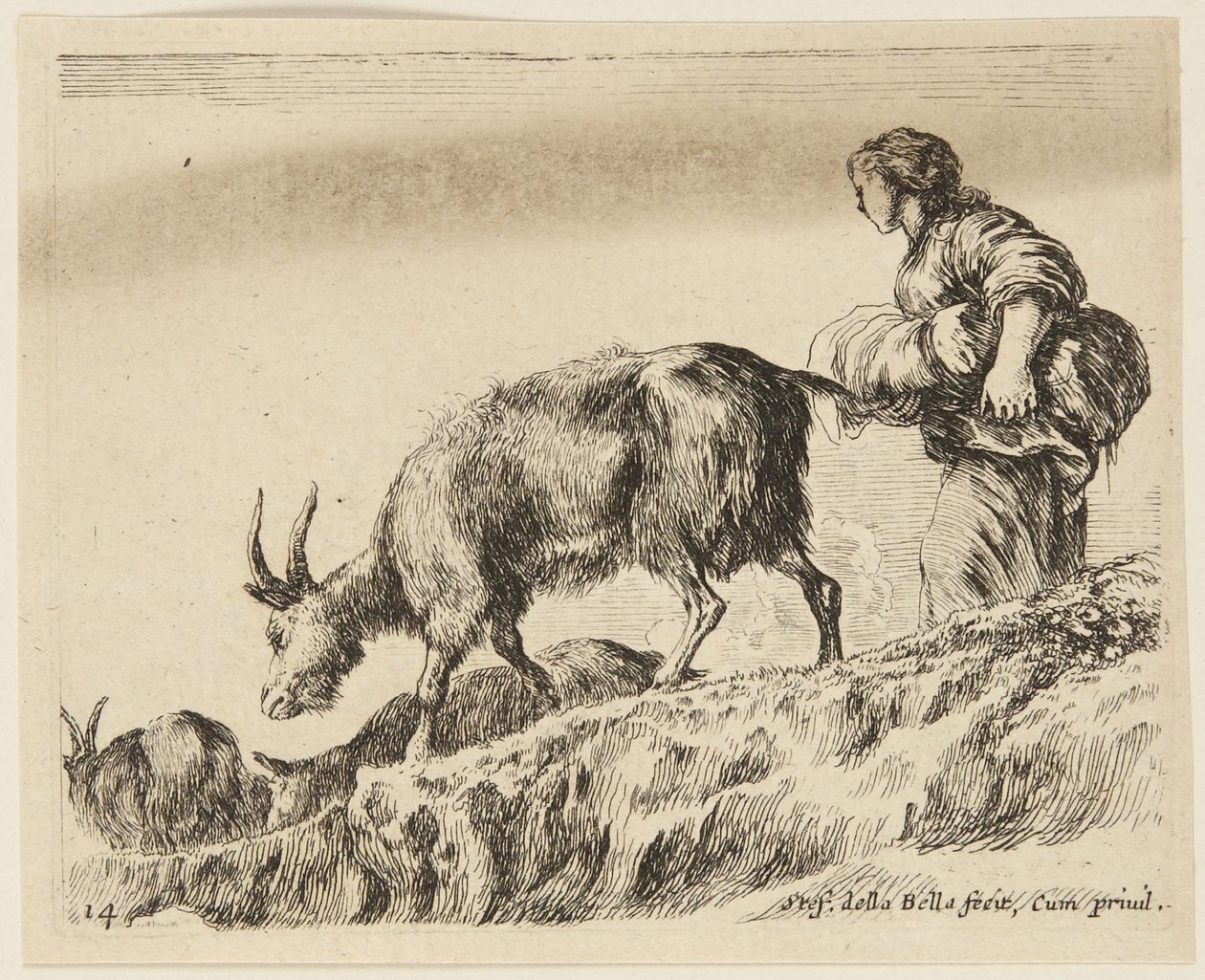 Kecskék (Különféle állatok, 14) alkotó: Stefano della Bella