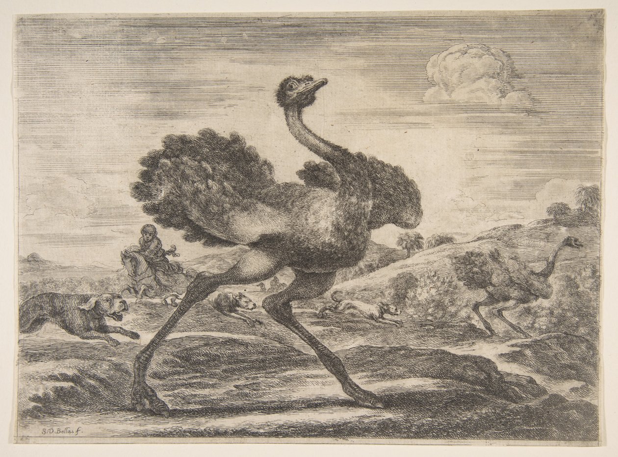 Struccvadászat, az Állatvadászatból Vadászat különböző állatokra, kb. 1654. alkotó: Stefano della Bella
