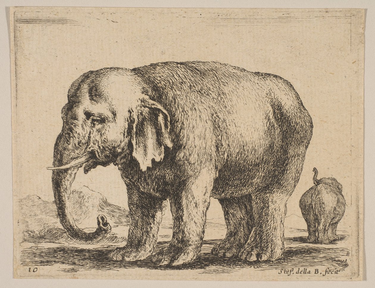 10. tábla: elefánt, különböző állatokból Diversi animali, kb. 1641. alkotó: Stefano della Bella