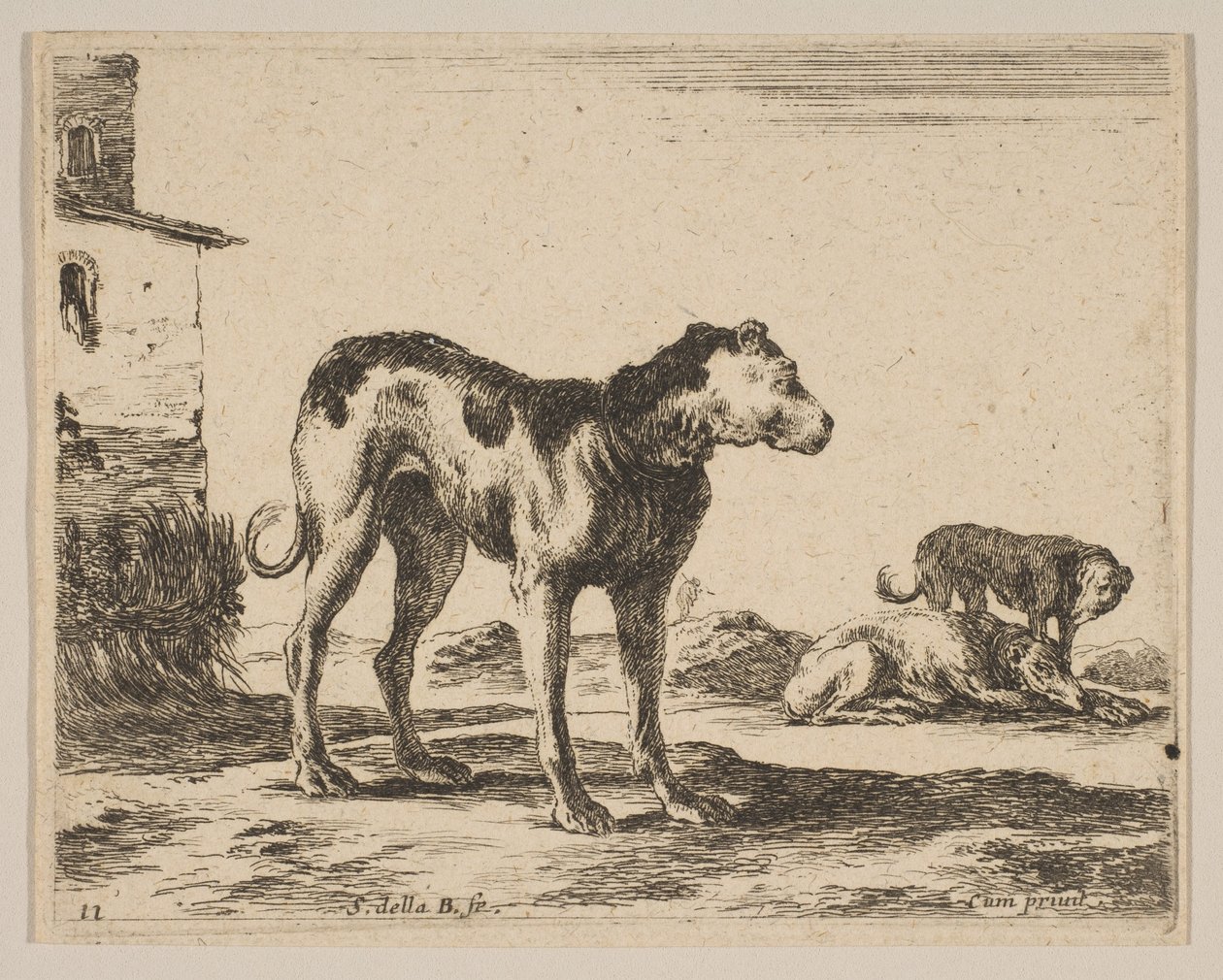 11. tábla: kutyák, különböző állatokból Diversi animali, kb. 1641. alkotó: Stefano della Bella
