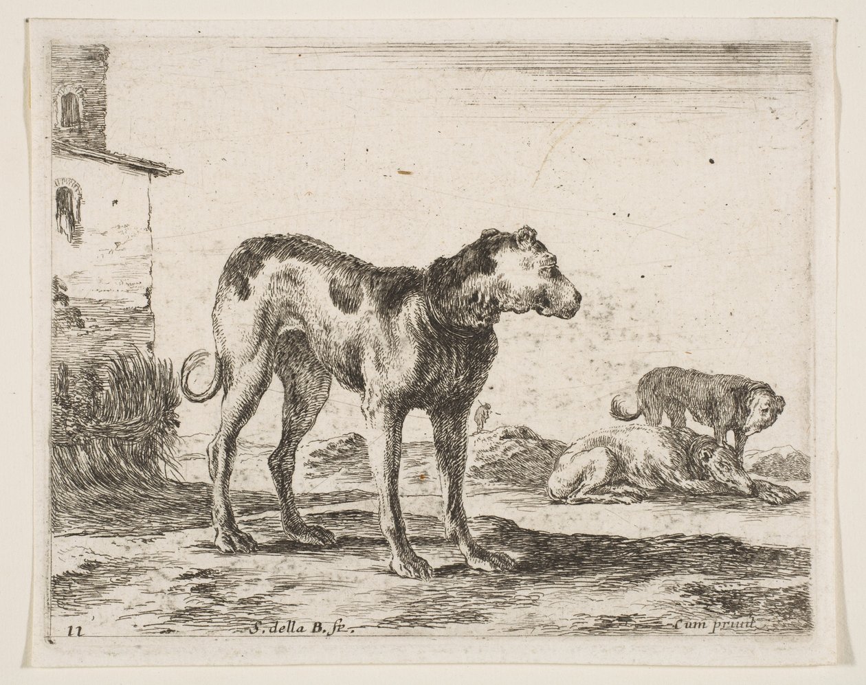 11. tábla: kutyák, különböző állatokból Diversi animali, kb. 1641. alkotó: Stefano della Bella