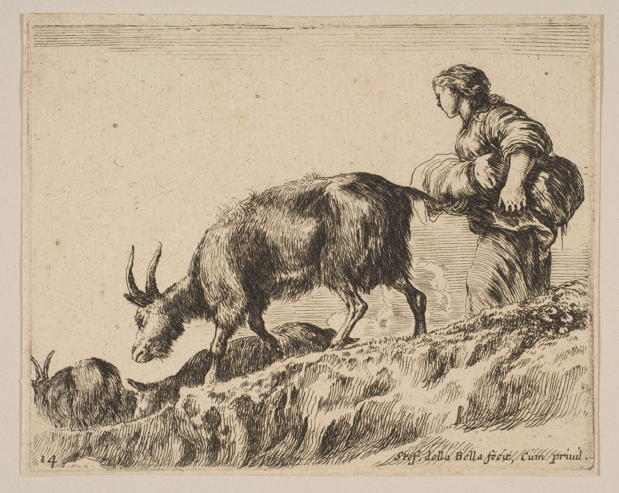14. tábla: kecskéket terelő pásztorlány, kb. 1641. alkotó: Stefano della Bella