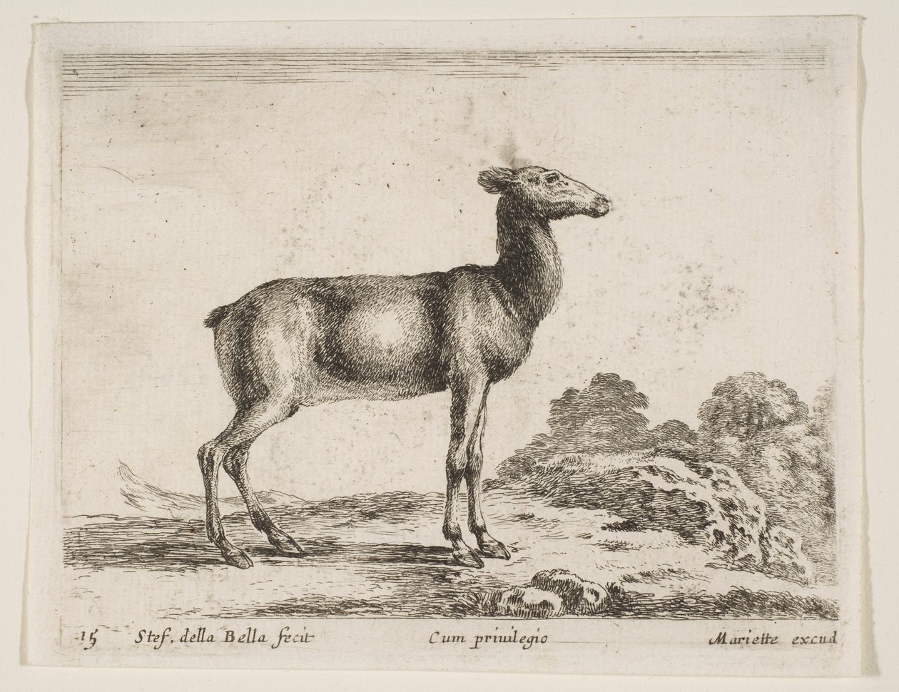 15. tábla: őzike, Különféle állatokból Diversi animali, kb. 1641. alkotó: Stefano della Bella