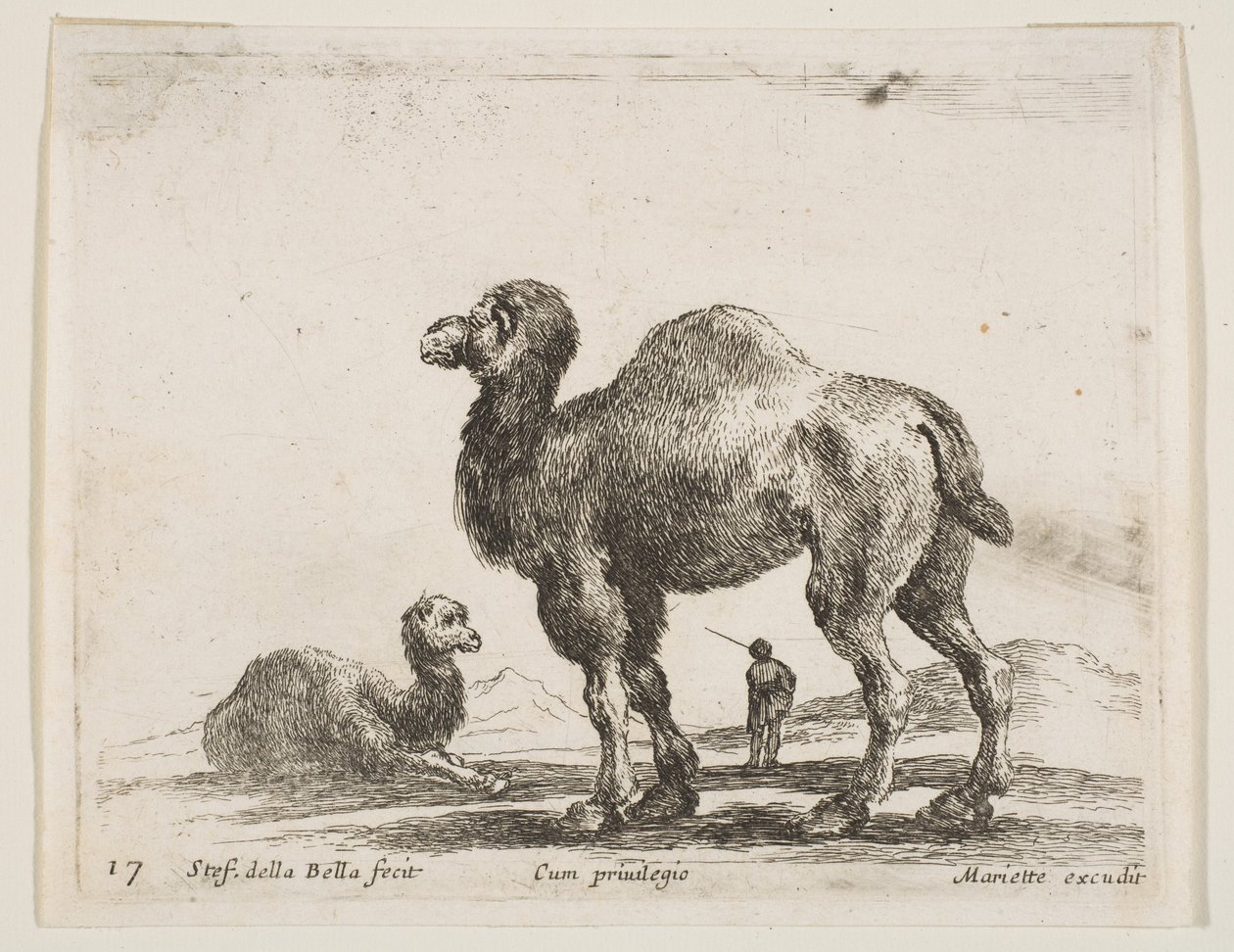 17. tábla: tevék, különféle állatokból Diversi animali, kb. 1641. alkotó: Stefano della Bella