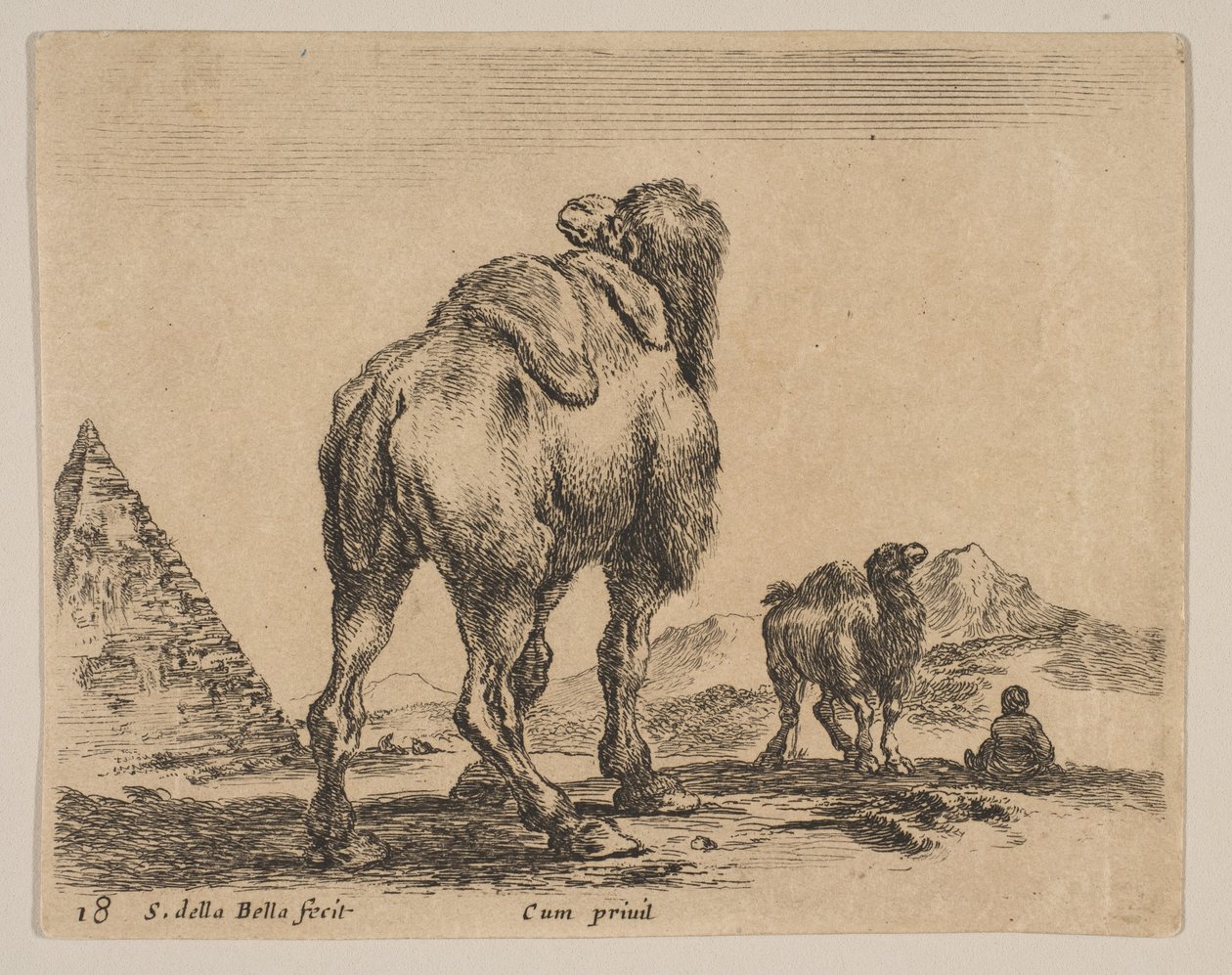 18. tábla: teve hátulról nézve, bal oldalon piramis, a „Különféle állatok” búvártól..., kb. 1641. alkotó: Stefano della Bella
