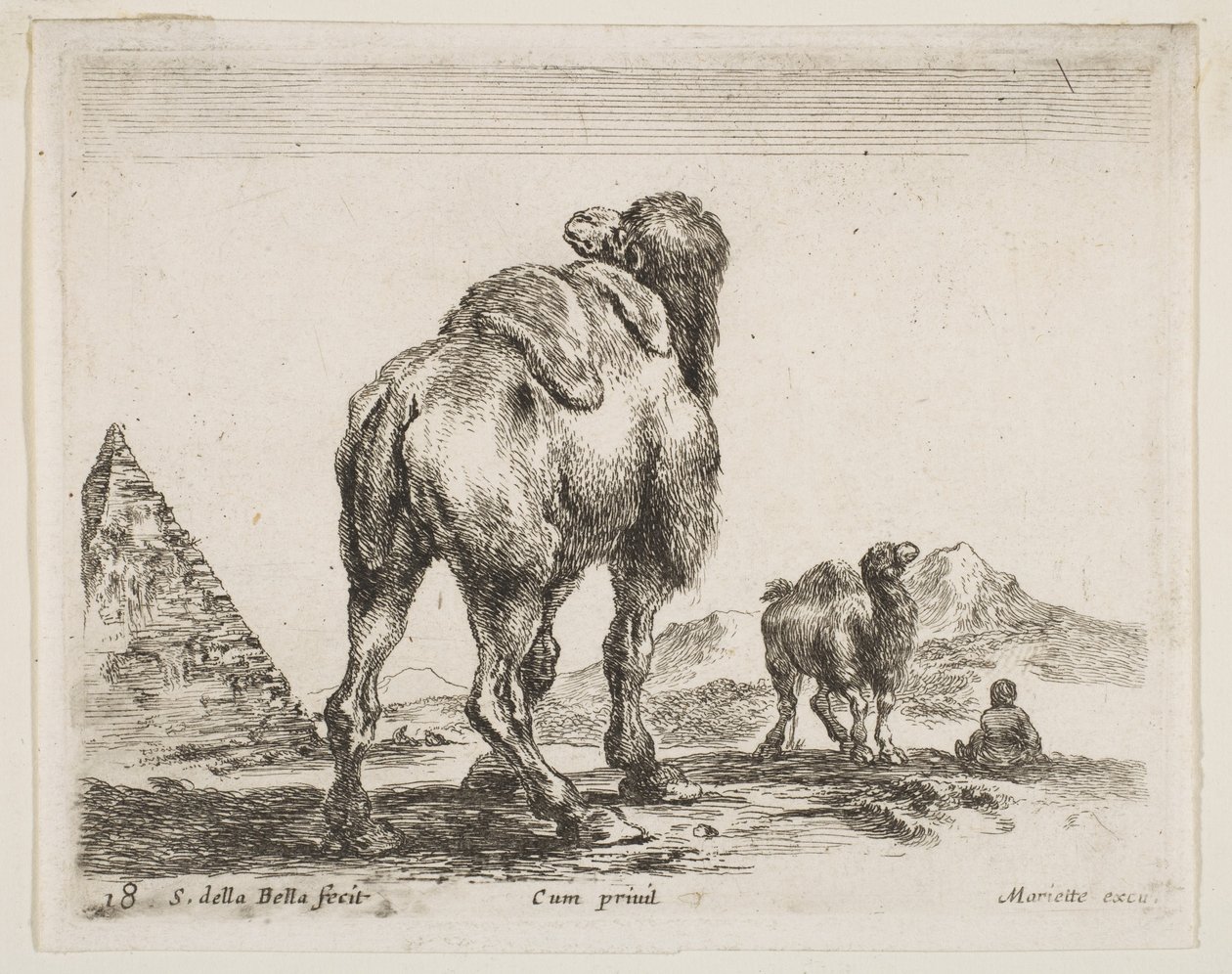 18. tábla: teve hátulról szemlélve, bal oldalon piramis, különböző állatokról Búvár..., kb. 1641. alkotó: Stefano della Bella