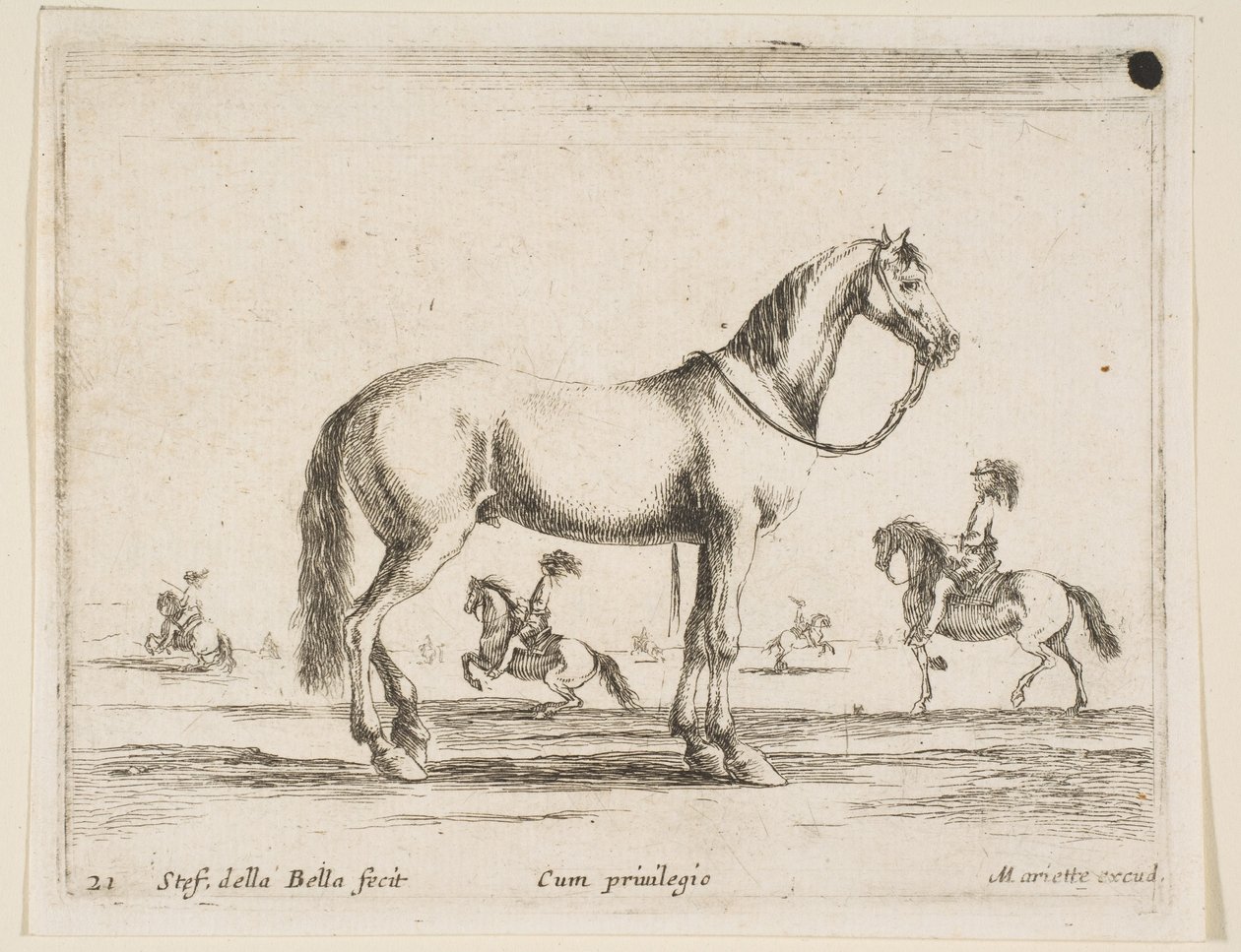 21. tábla: ló, Különféle állatokból Diversi animali, 1641. alkotó: Stefano della Bella