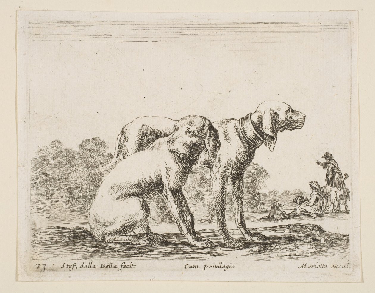 23. tábla: két vadászkutya, különféle állatokból Diversi animali, kb. 1641. alkotó: Stefano della Bella