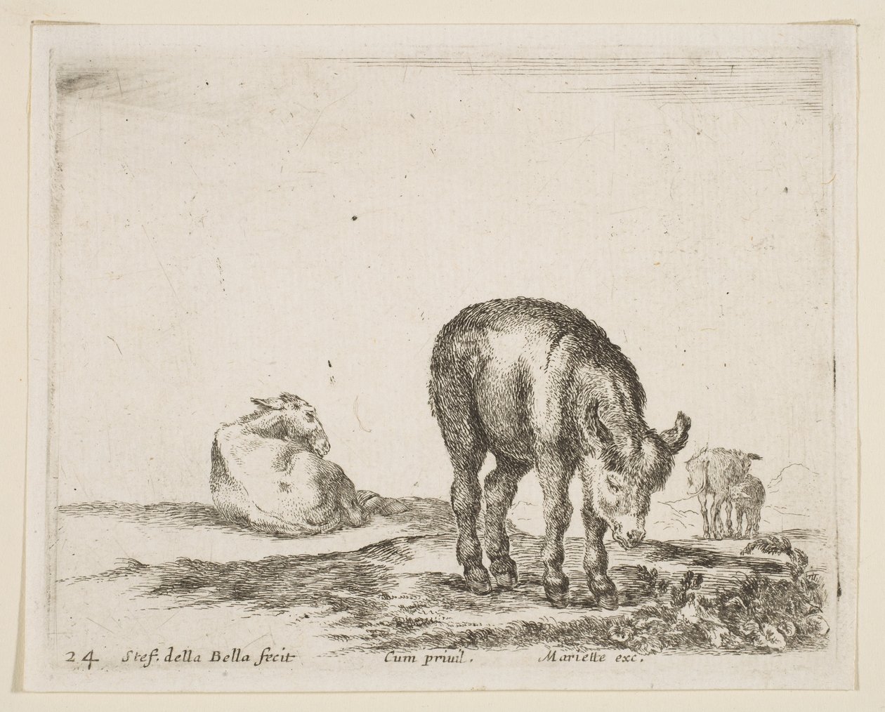 24. tábla: szamarak, különféle állatokból Diversi animali, kb. 1641. alkotó: Stefano della Bella
