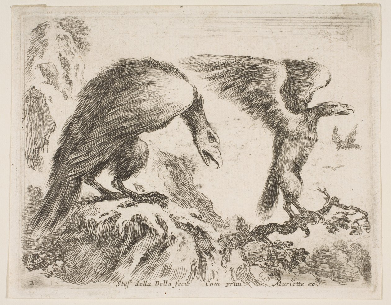 2. tábla: sas és sasfióka, különféle állatokból Diversi animali, kb. 1641. alkotó: Stefano della Bella