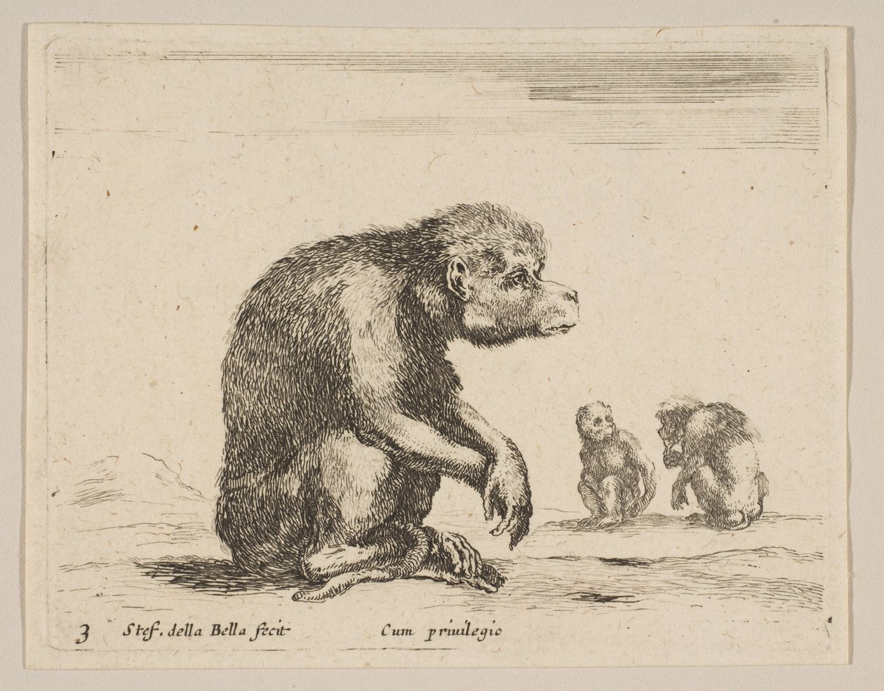 3. tábla: ülő majom, különféle állatokból Diversi animali, kb. 1641. alkotó: Stefano della Bella