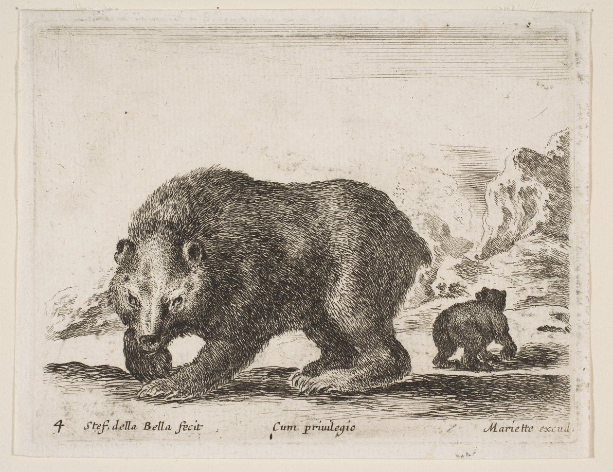 4. tábla: medve, „Különféle állatok” Diversi animali, 1641. alkotó: Stefano della Bella