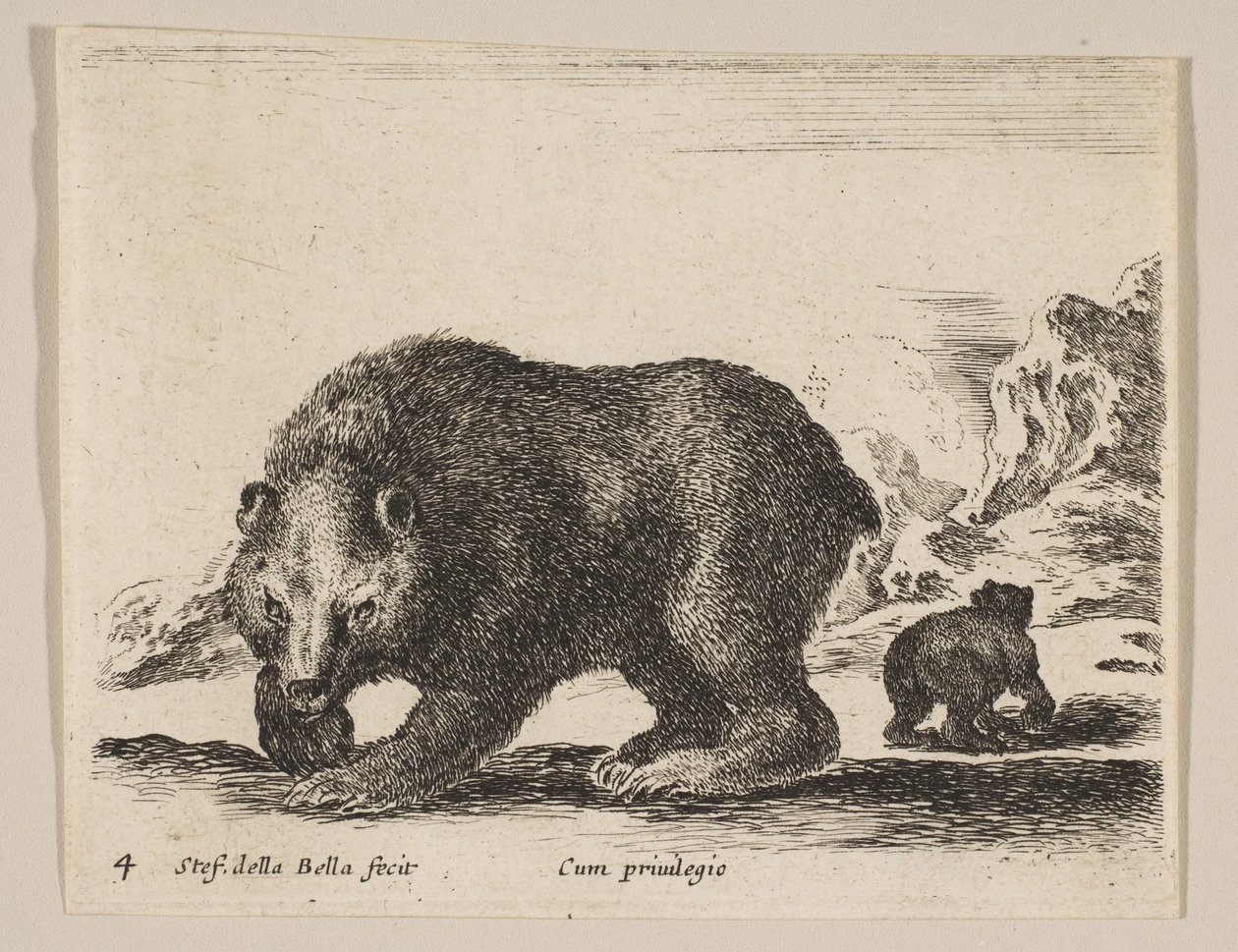 4. tábla: medve, a „Különféle állatok” fajtából Diversi animali, kb. 1641. alkotó: Stefano della Bella