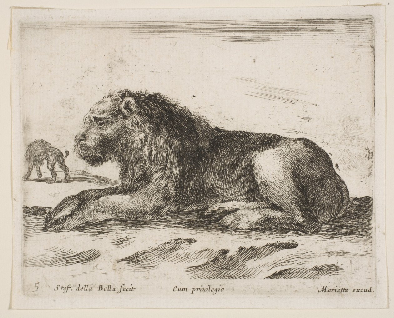 5. tábla: fekvő oroszlán, Különféle állatokból Diversi animali, 1641. alkotó: Stefano della Bella