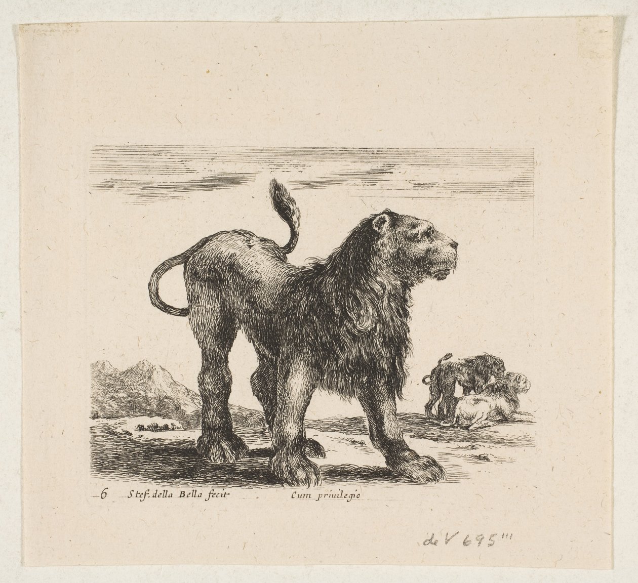 6. tábla: oroszlán, a „Különféle állatok” fajtából Diversi animali, kb. 1641. alkotó: Stefano della Bella