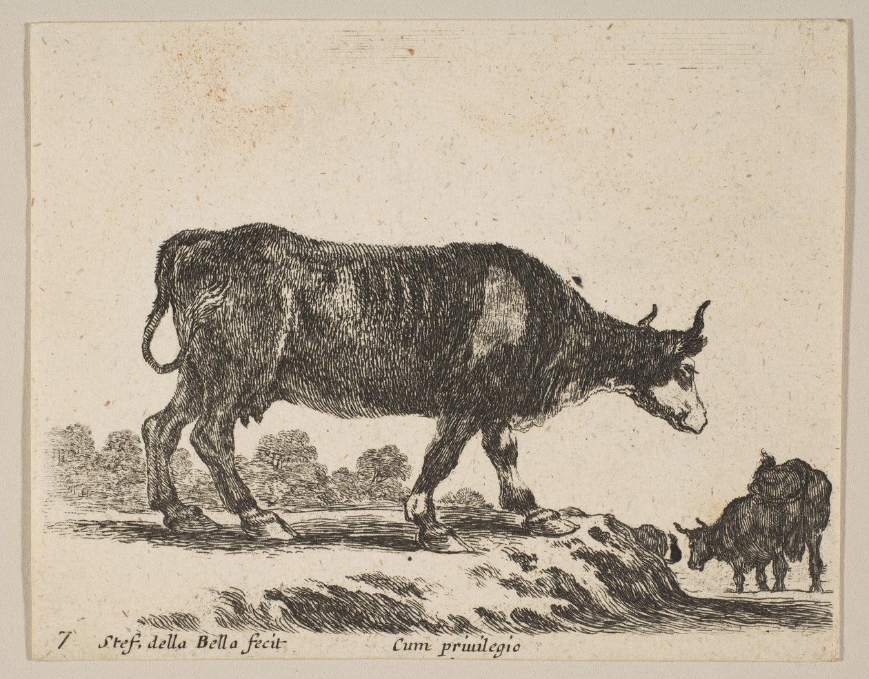 7. tábla: tehén, különféle állatokból Diversi animali, kb. 1641. alkotó: Stefano della Bella