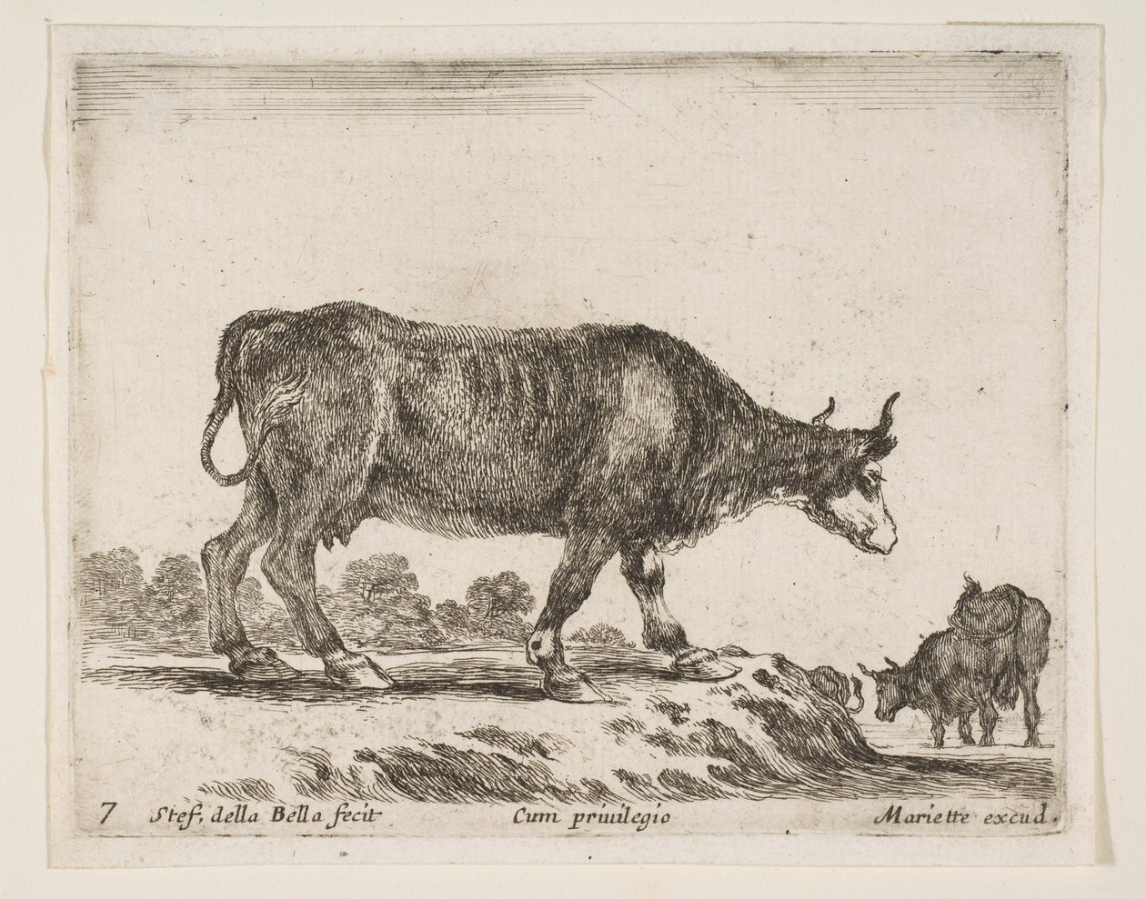 7. tábla: ökör, különböző állatokból Diversi animali, kb. 1641. alkotó: Stefano della Bella