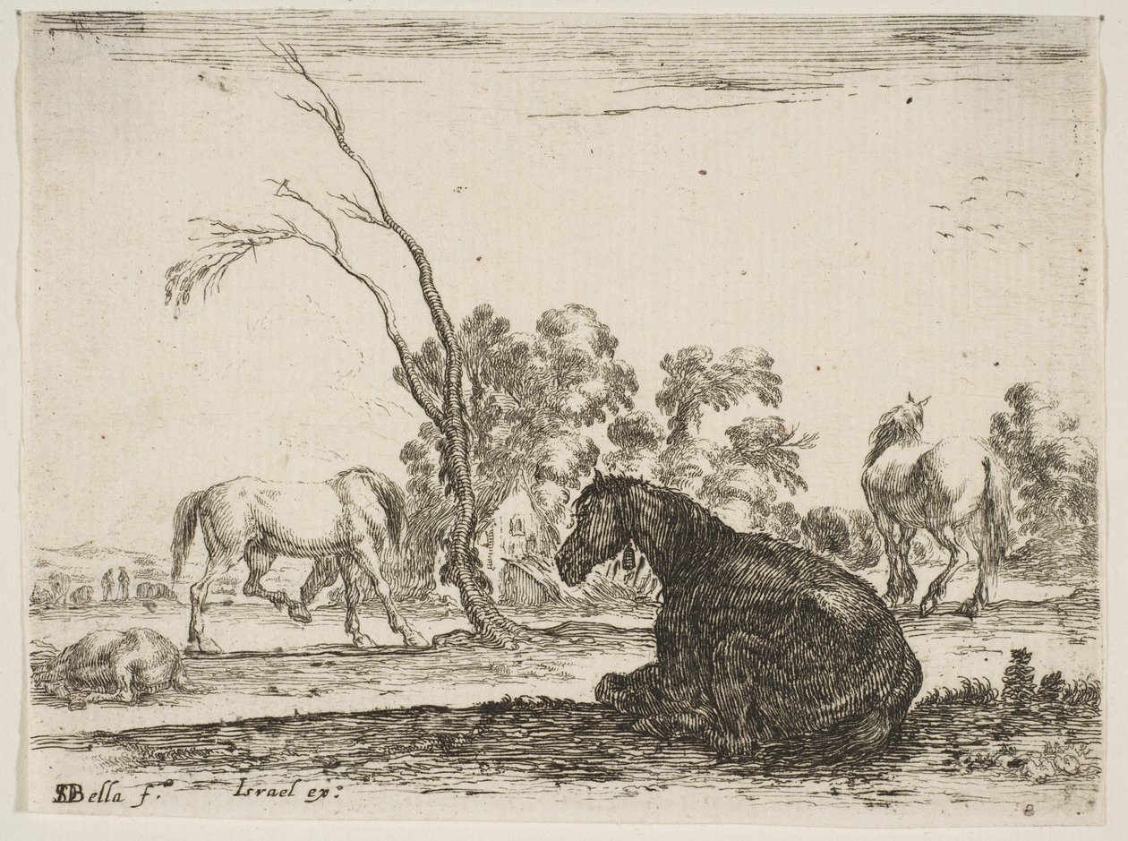 8. tábla: jobbra egy ülő ló, hátulról nézve és balra fordulva, három másik hor..., 1642. alkotó: Stefano della Bella