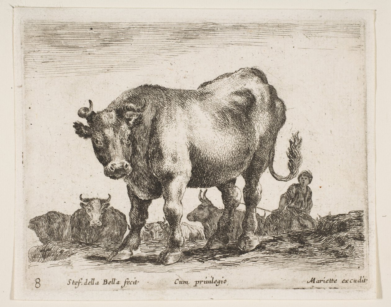 8. tábla: tehén, különféle állatokból Diversi animali, kb. 1641. alkotó: Stefano della Bella