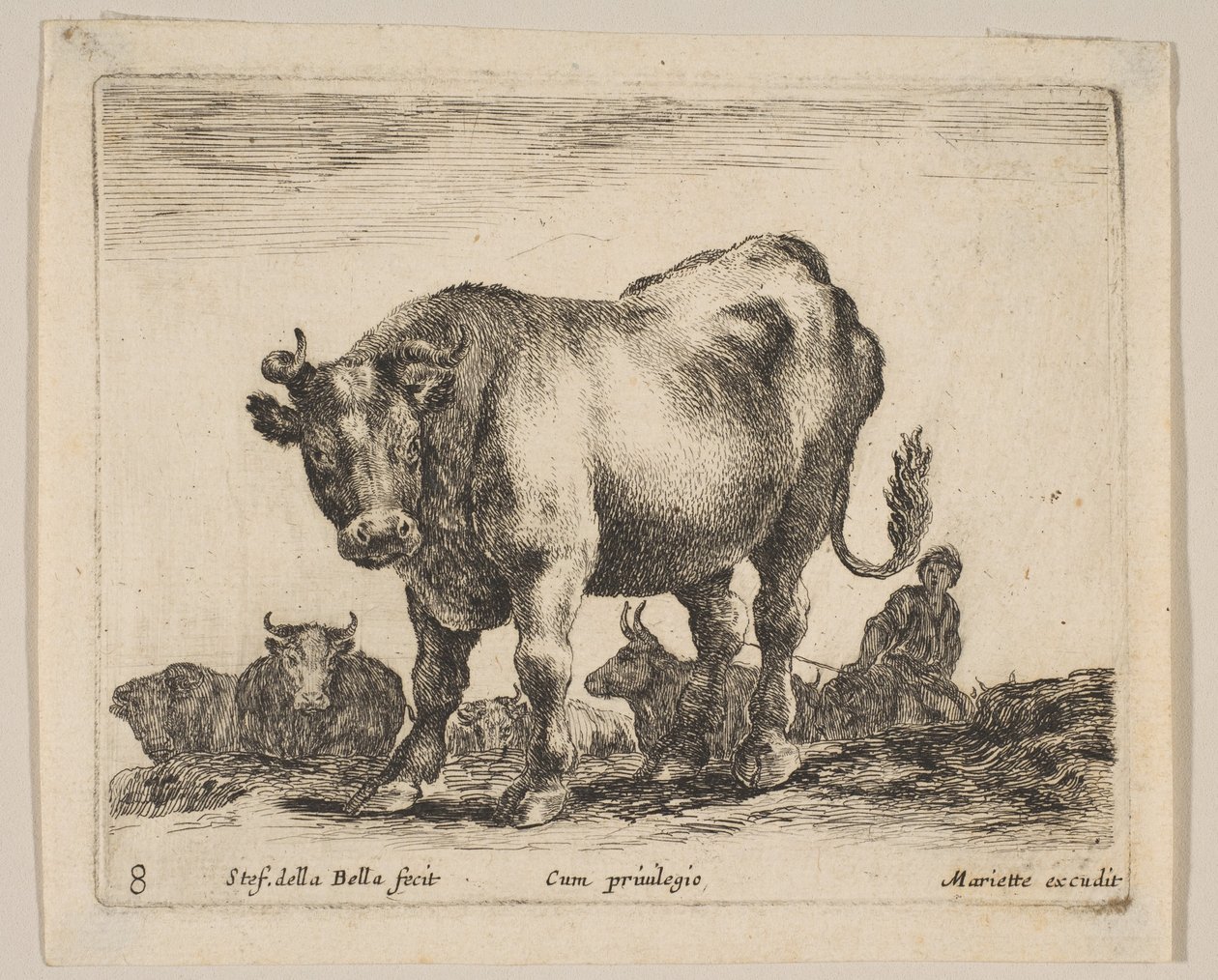 8. tábla: ökör, a „Különböző állatok”-ból Diversi animali, kb. 1641. alkotó: Stefano della Bella