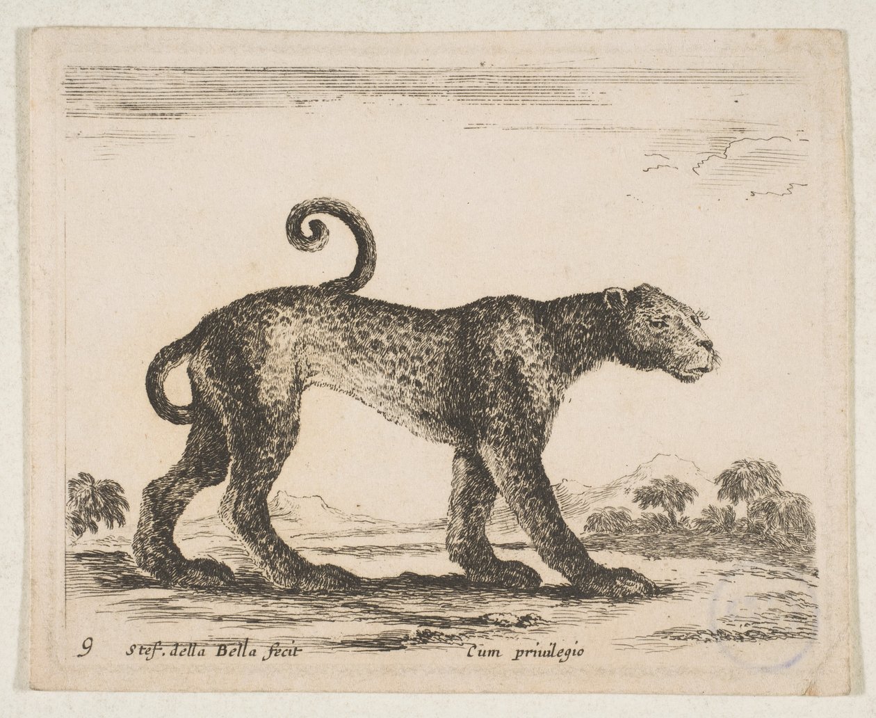 9. tábla: leopárd, „Különféle állatok” Diversi animali, kb. 1641. alkotó: Stefano della Bella