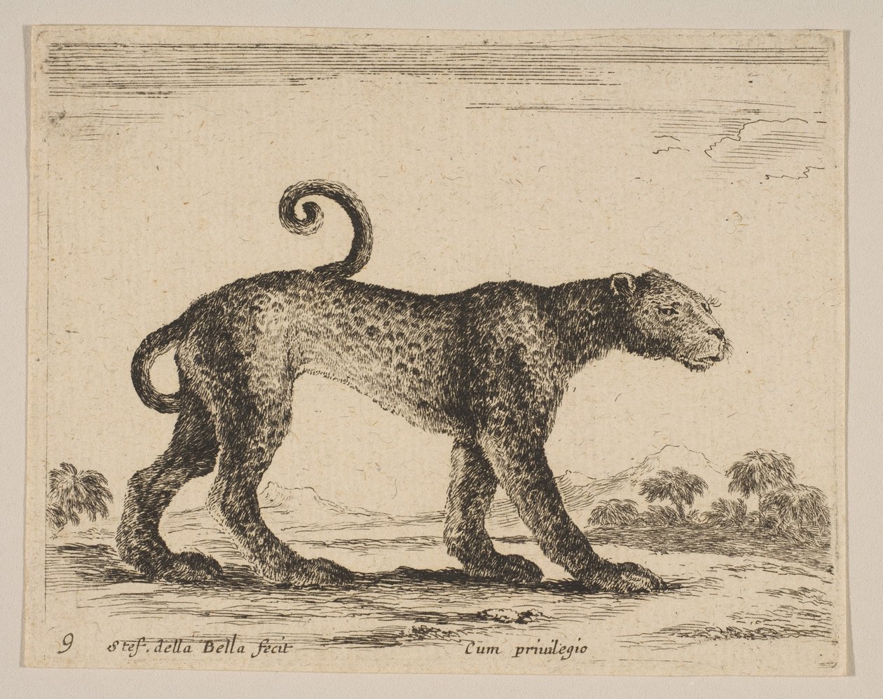 9. tábla: leopárd, különböző állatokból Diversi animali, kb. 1641. alkotó: Stefano della Bella