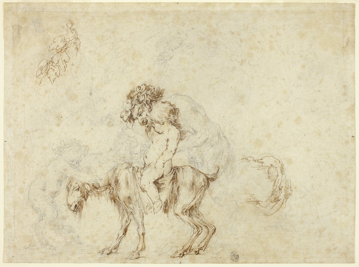 Tanulmány a Satyr Family Walking számára (recto); Öt dekoratív edény vázlata (fordítva) alkotó: Stefano della Bella