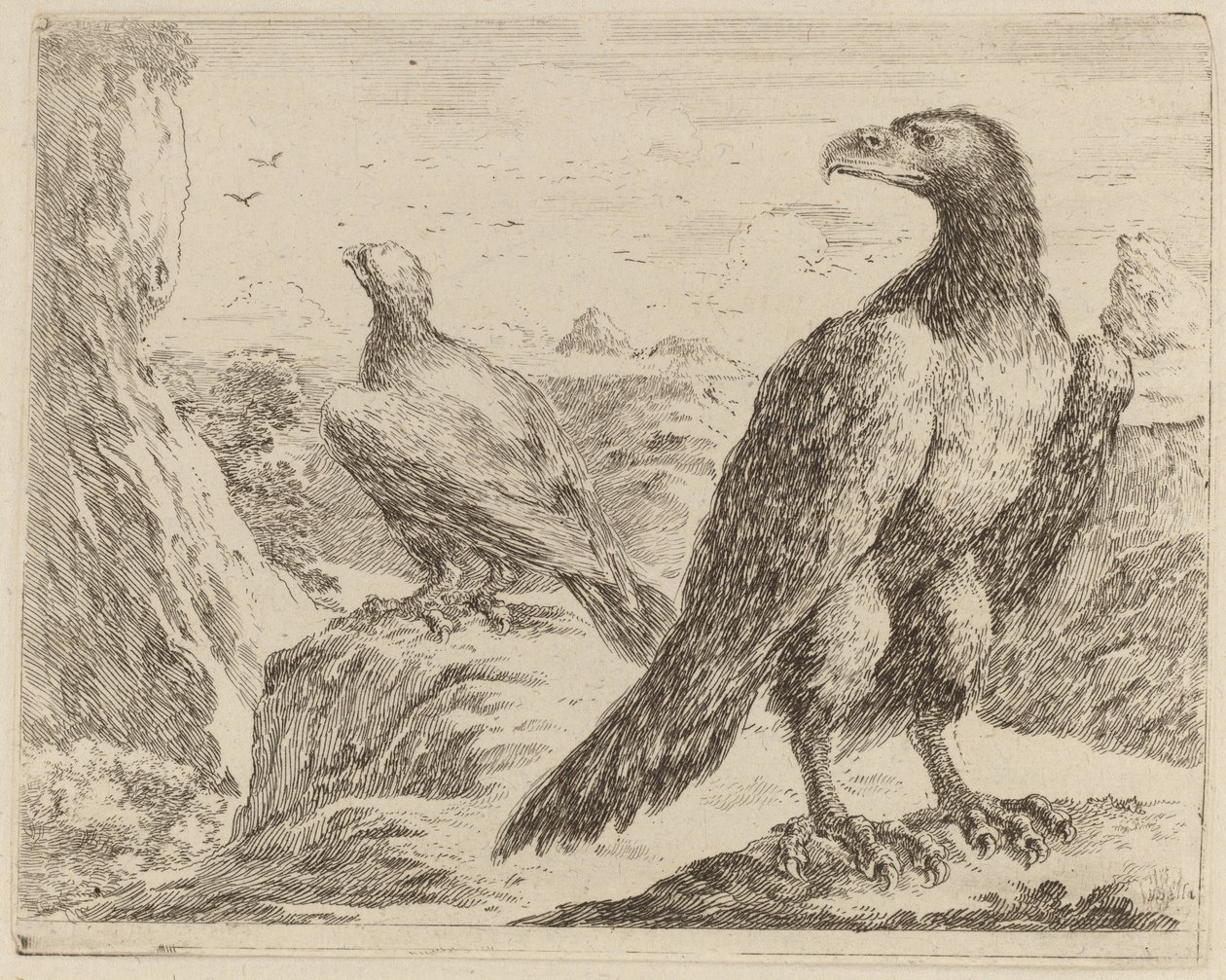Two Eagles, Both with Heads Turned to the Left   1243991   hu       hungarian Successfully Translated  Original: Portret van een onbekend meisje Translat: Portret van een onbekend meisje 1378996 hu hungarian Successfully Translated Original: Fountain of yo alkotó: Stefano della Bella