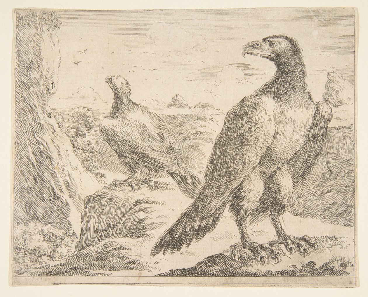 Két sas, az Eagles-től Les aigles, kb. 1651. alkotó: Stefano della Bella