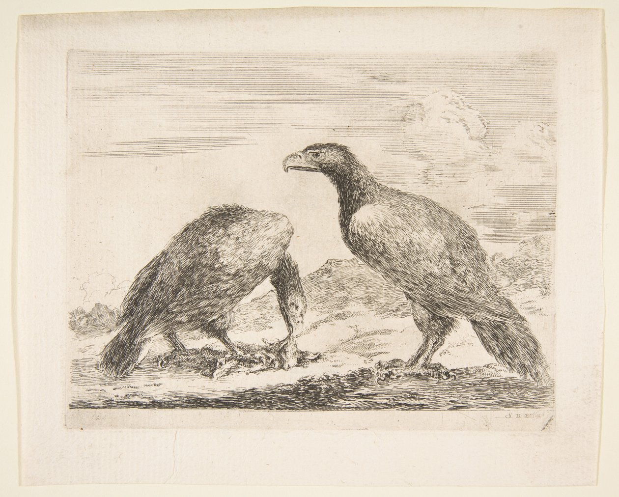 Két sas, az egyik egy bárányt fal, az Eagles Les aigles-től, kb. 1651. alkotó: Stefano della Bella