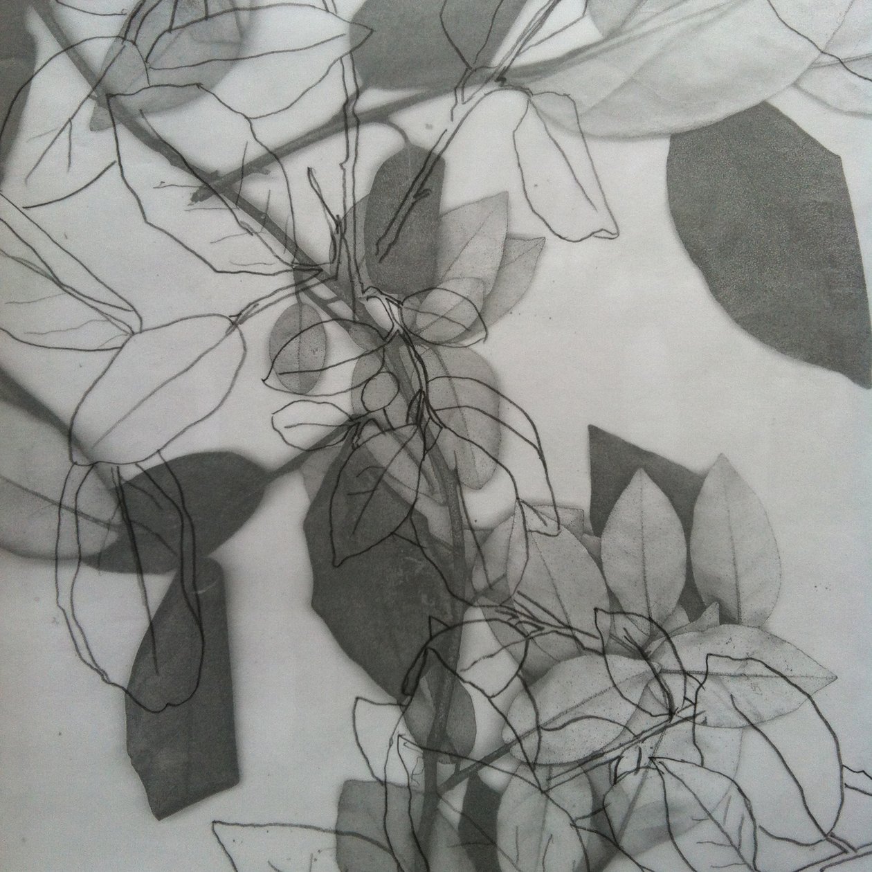 Botanikus, 2014 (digitális) alkotó: Stephen Dow